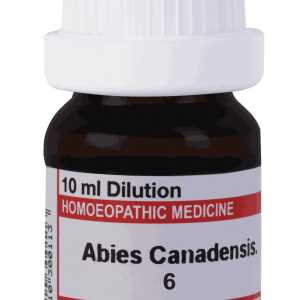  Abies Can 6