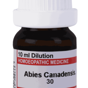  Abies Canadensis. 30