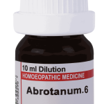  Abrotanum 6