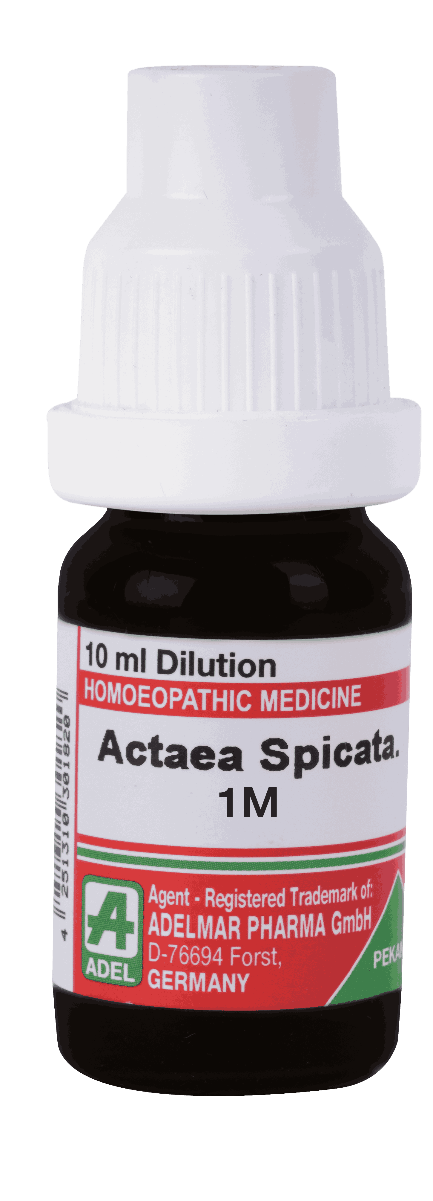  Actaea Spicate 1M