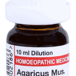  Agaricus Mus 6