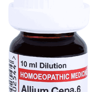  Allium Cepa 6
