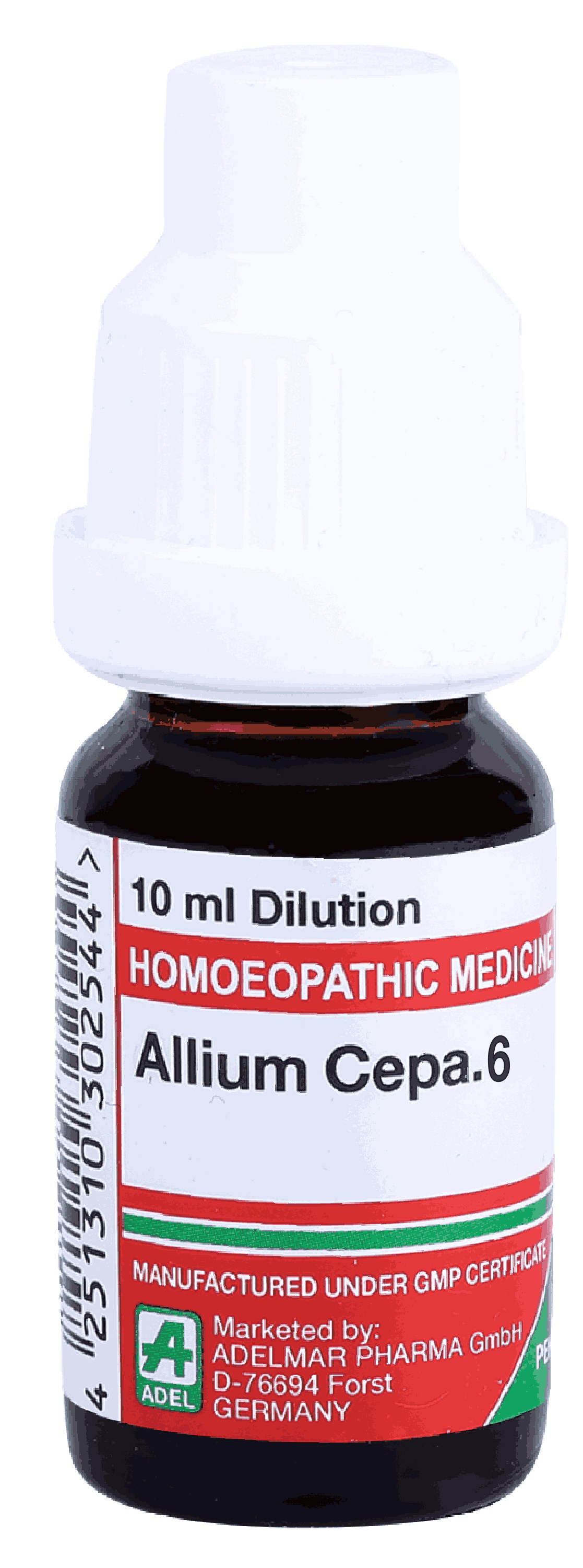  Allium Cepa 6