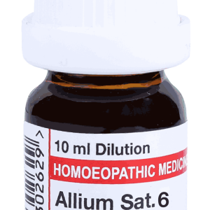  Allium Sat 6