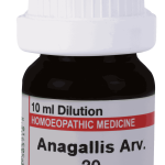  Anagallis Arv 30