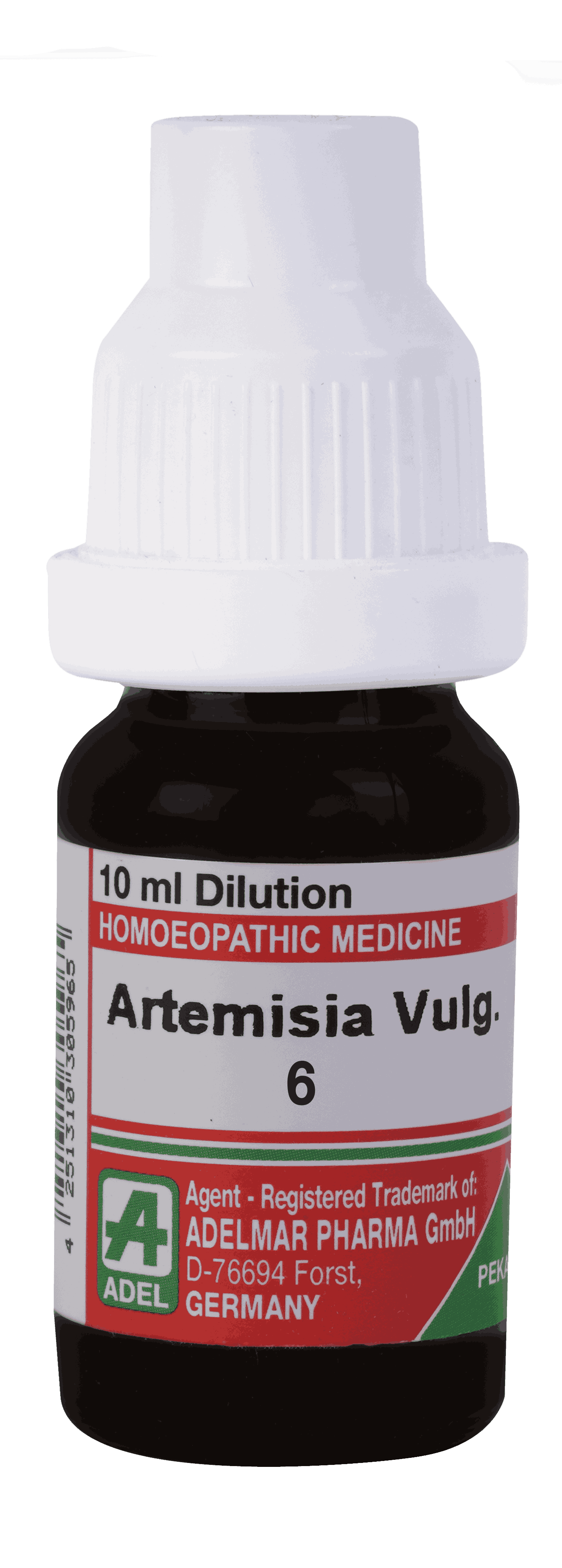  Artemisia Vulgaris 6