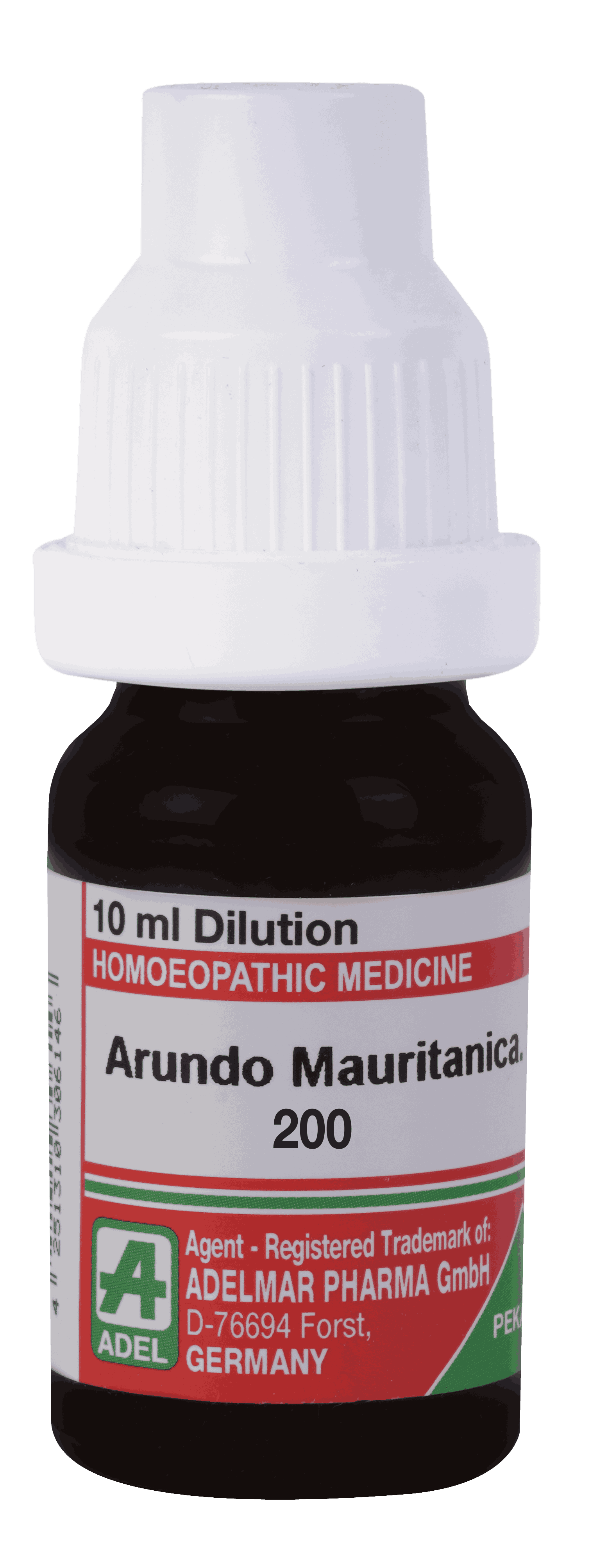 Arundo Mauritancia 200