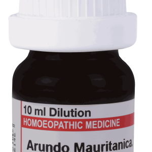  Arundo Mauritancia 30