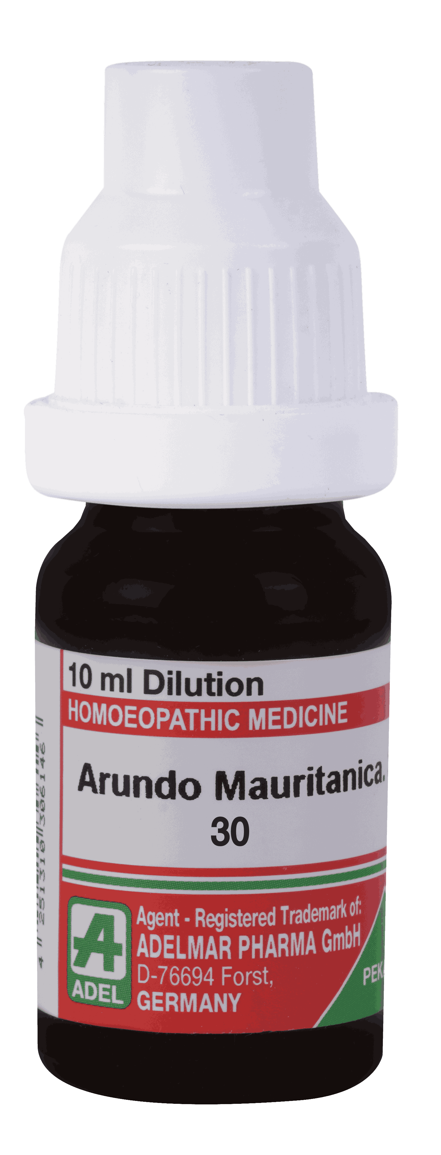  Arundo Mauritancia 30