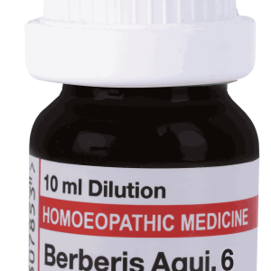  Berberis Aqui 6