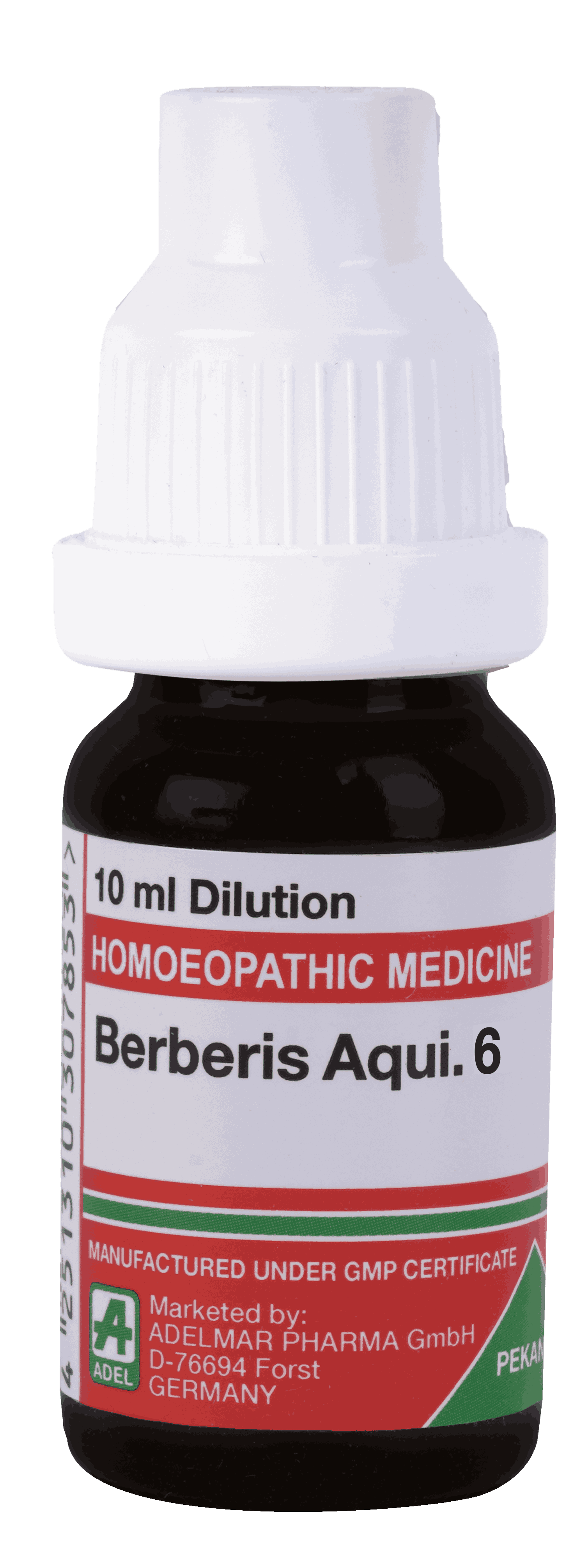  Berberis Aqui 6
