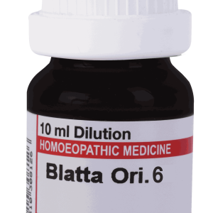  Blatta Ori 6