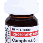  Camphora 6