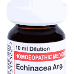  Echinacea Ang  3X