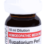  Eupatorium Perf.  30