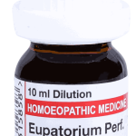  Eupatorium Perf.  Cm