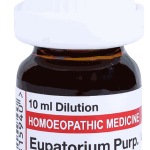  Eupatorium Purp  1M