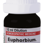  Euphorbium  30