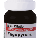  Fagopyrum  200
