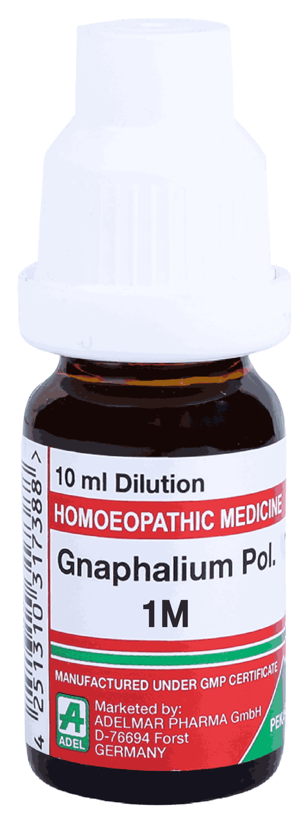  Gnaphalium Pol  1M