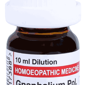  Gnaphalium Pol  6