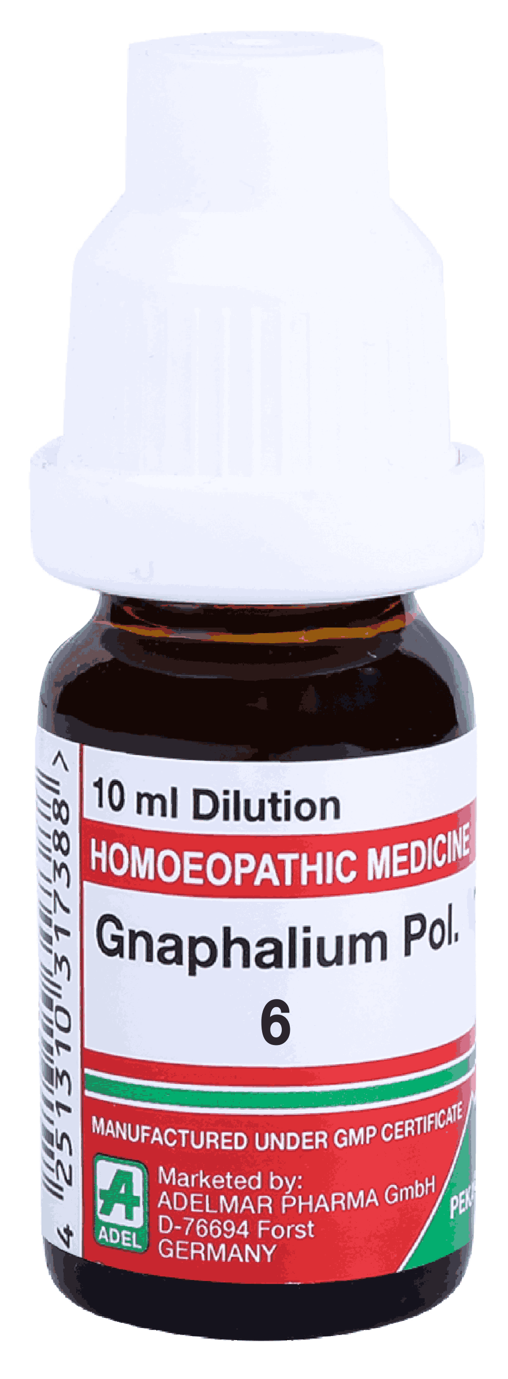  Gnaphalium Pol  6