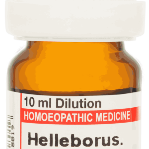  Helleborus  1M