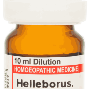  Helleborus  Cm