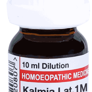  Kalmia Lat  1M