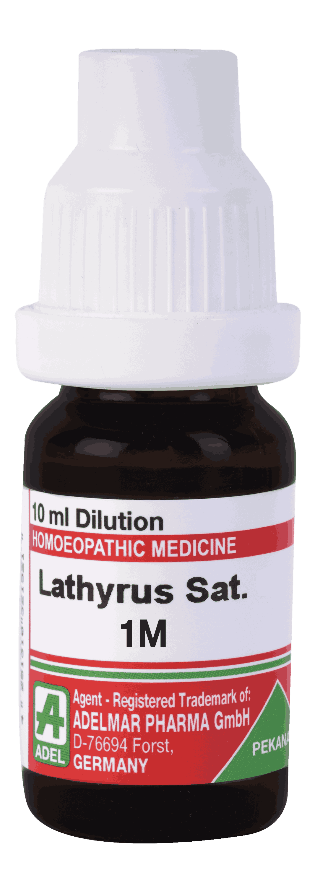  Lathyrus Sat  1M