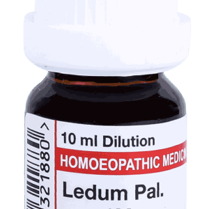  Ledum Pal  10M