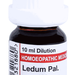  Ledum Pal  50M