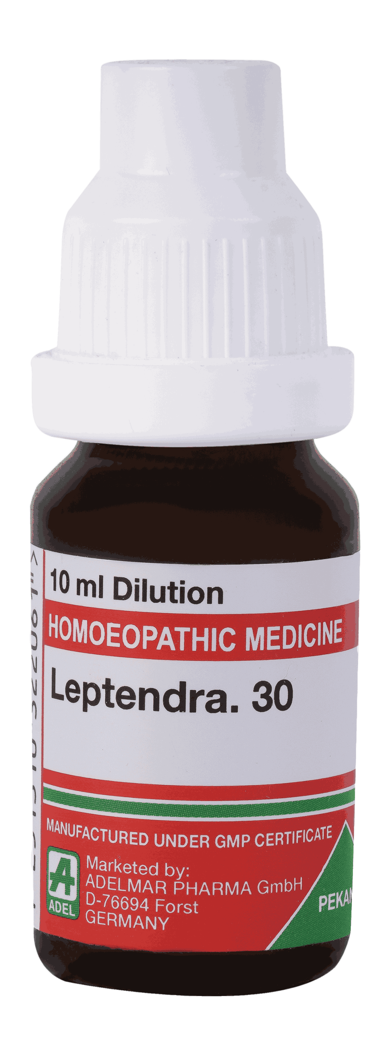  Leptendra  30
