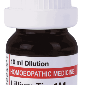  Lillium Tig  1M