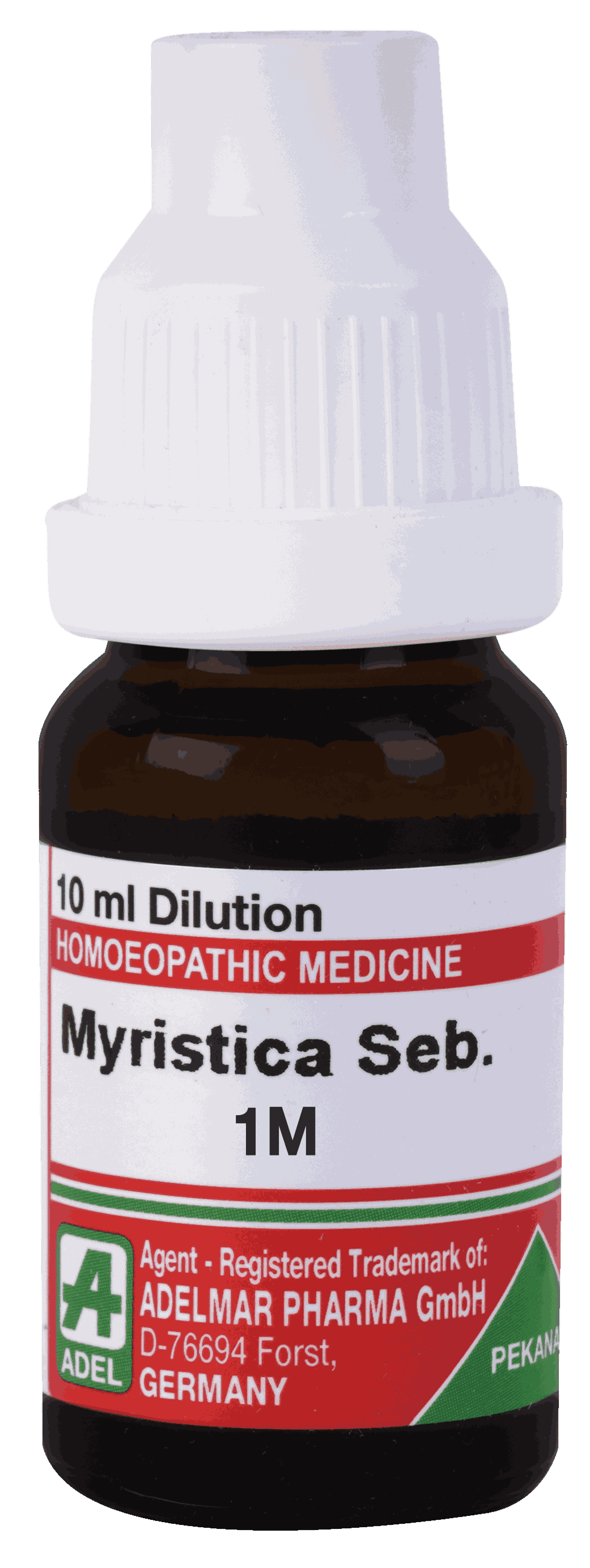  Myristica Seb  1M