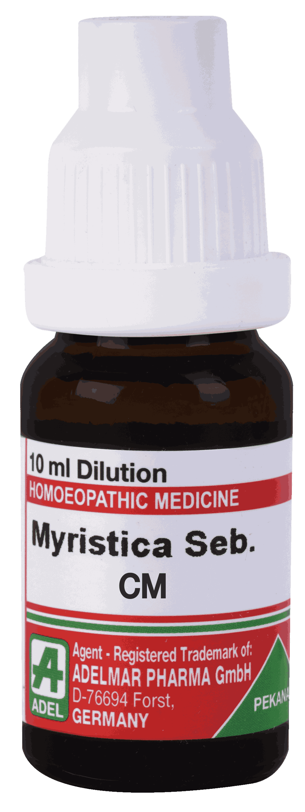  Myristica Seb  Cm