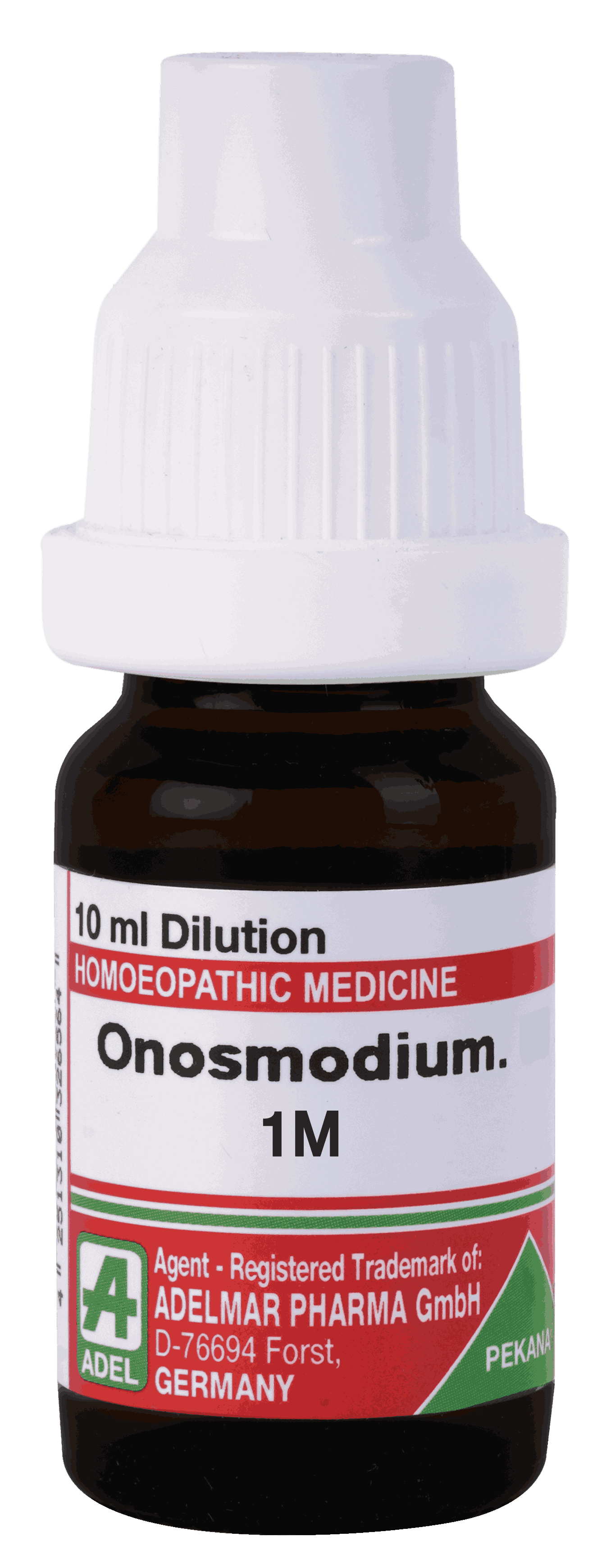  Onosmodium  1M
