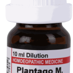  Plantago  6