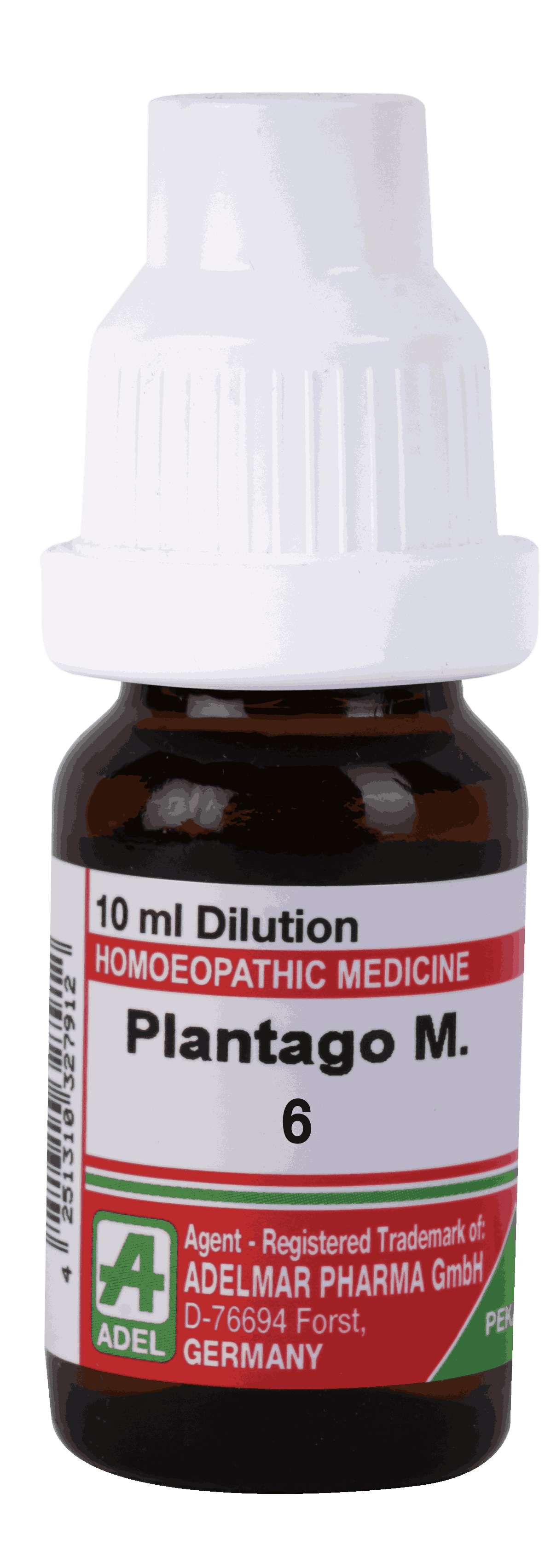 Plantago  6