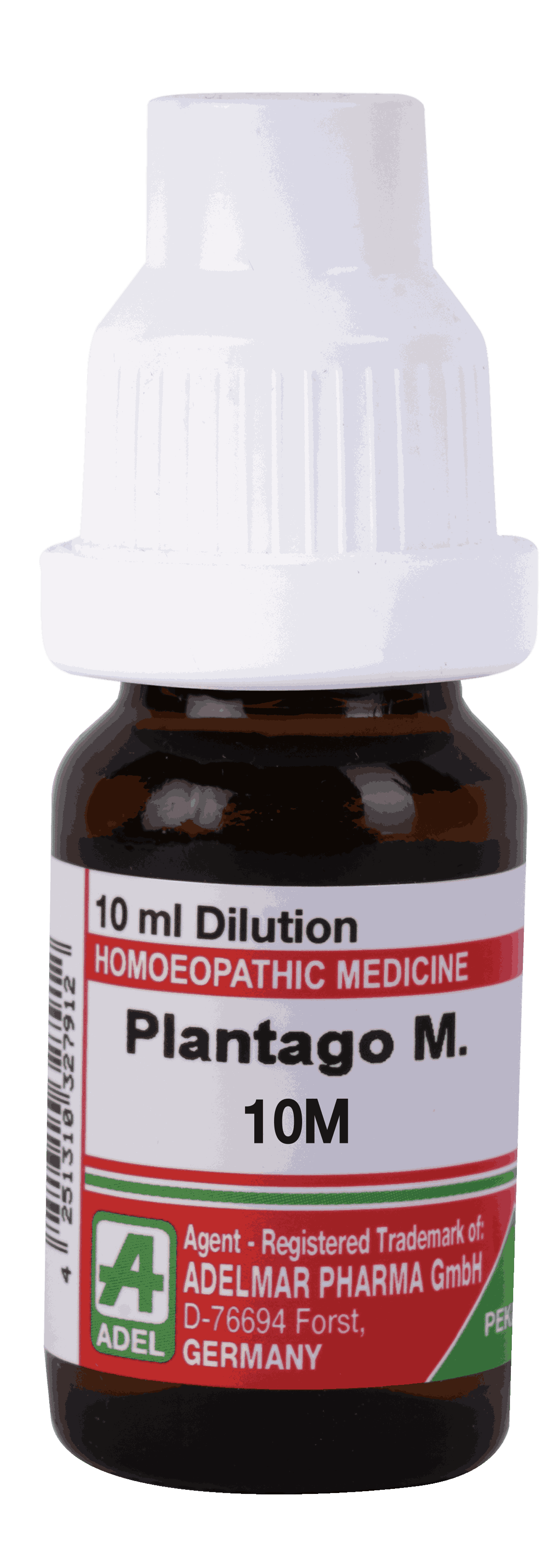  Plantago M  10M