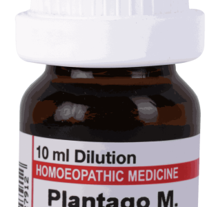  Plantago M  30