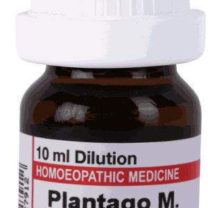 Plantago M  CM