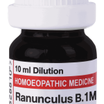  Ranunculus B  1M