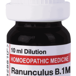  Ranunculus B  1M