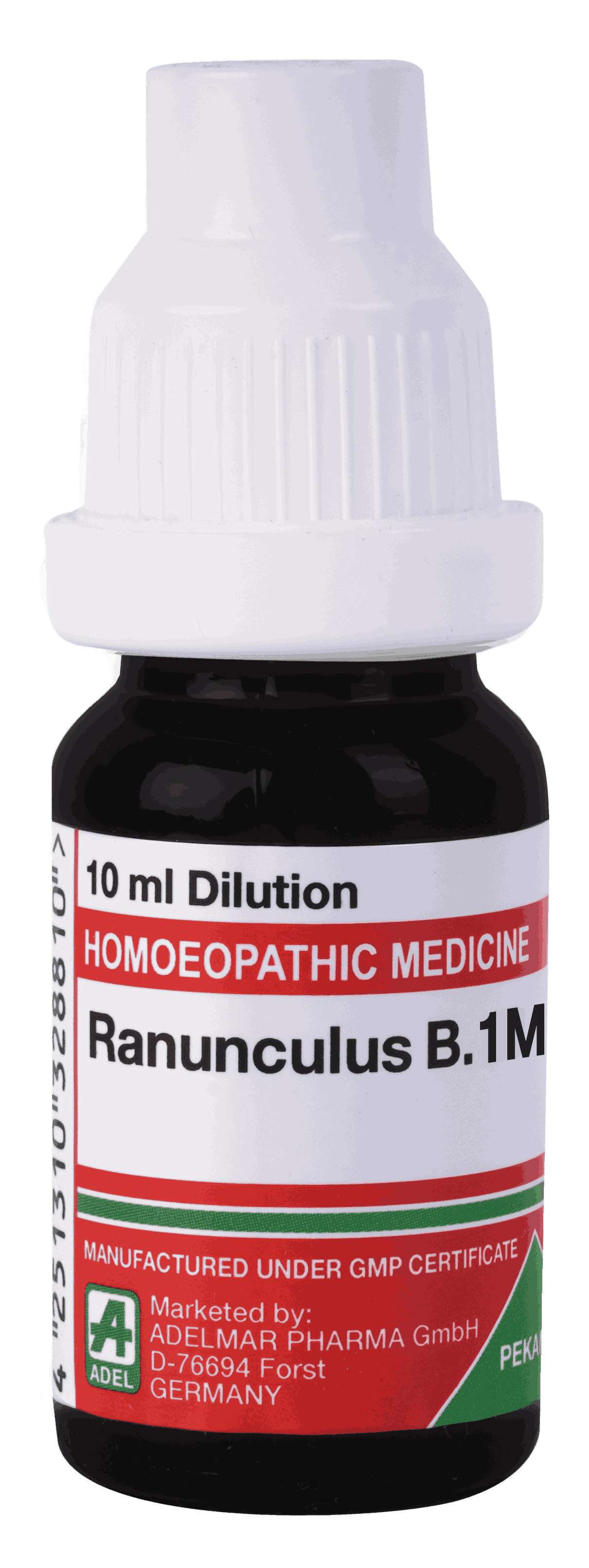  Ranunculus B  1M