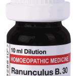  Ranunculus B  30
