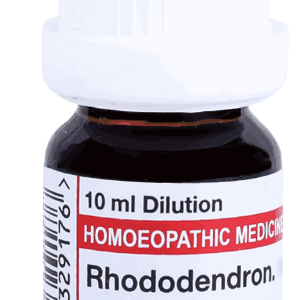  Rhododendron  1M