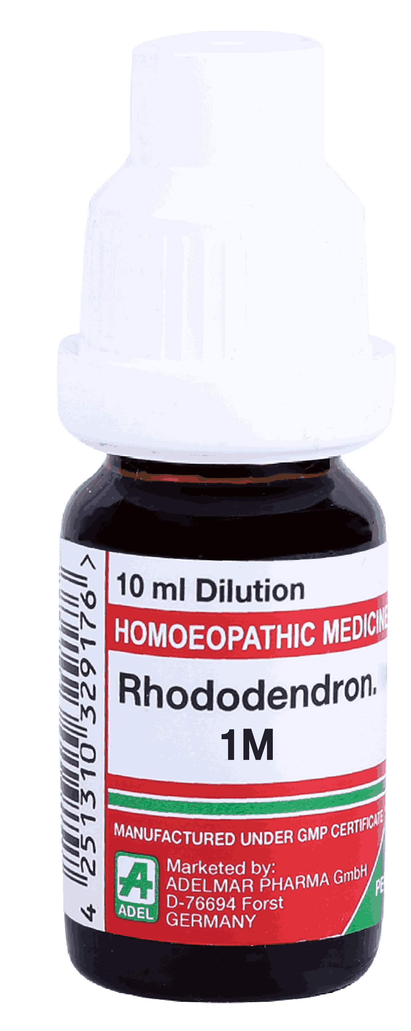  Rhododendron  1M