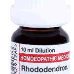  Rhododendron  6