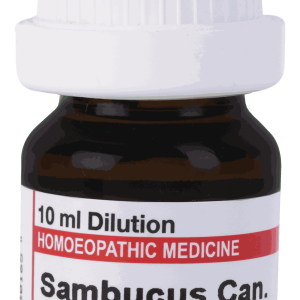  Sambucus Can  1M